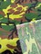 1 Yard Poly Cotton Fabric Camouflage Design, 58" Wide Lightweight & Durable for Crafts